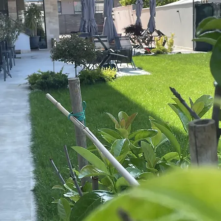 Hotel Ducu - Adults Only