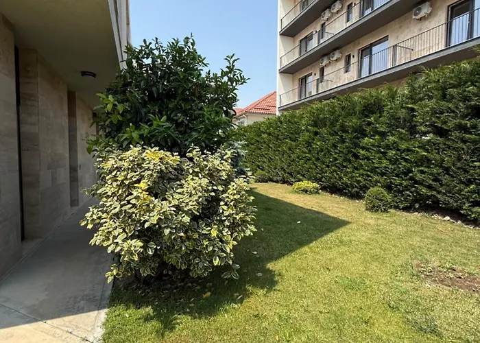 Ducu - Adults Only Нэводари